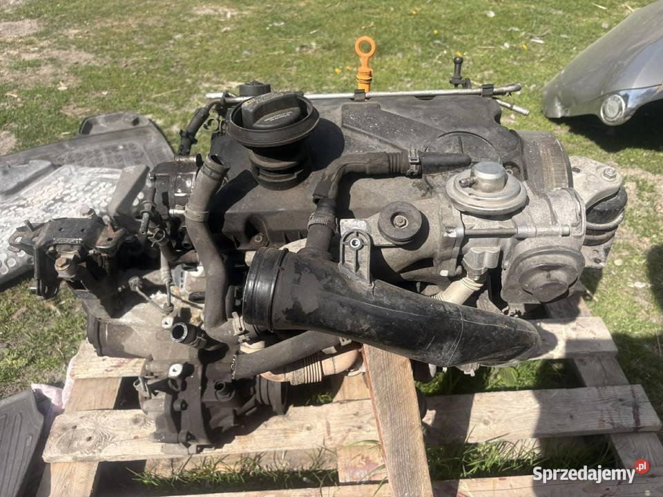 SILNIK VW SKODA 19TDI BLS T5 OCTAVIA PASSAT B6 Bełżyce
