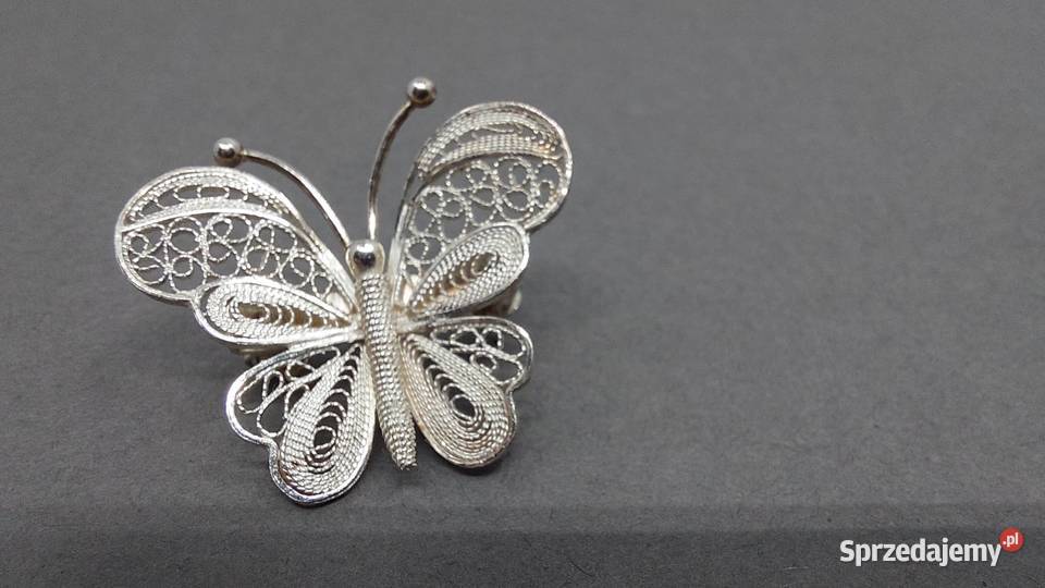 Motyl broszka Lublin
