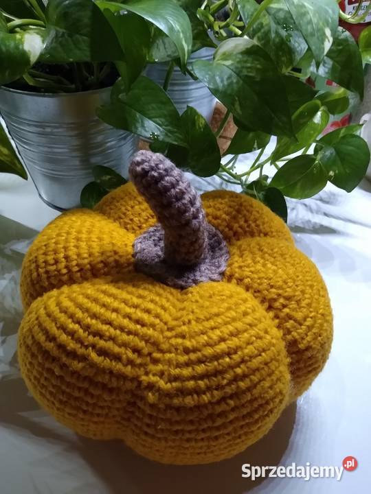Dynia Pumpkin Rękodzieło pomorskie Gdańsk