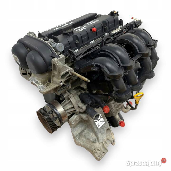 SILNIK HXDB Ford Focus II MK2 C C 16 16V Ti HXDA Chełm