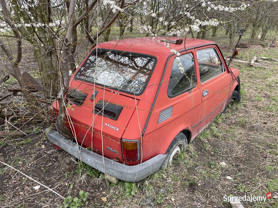 Fiat 126p Maluch łódzkie Bełchatów