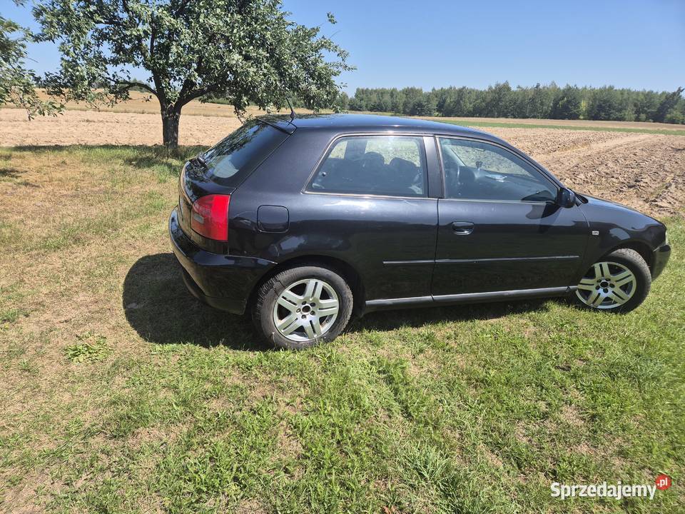 Audi a3 8l 16 benzyna 190000km Jawidz