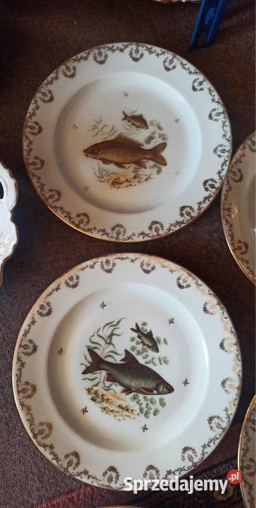 Talerz do ryb Limoges Francja Ze znamienitej Porcelana i szkło Gdańsk