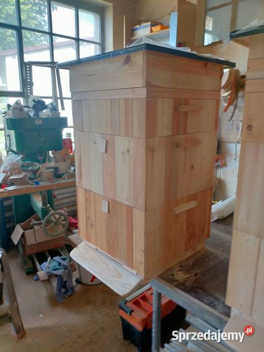 Ule wielkopolskie 10 ramkowe