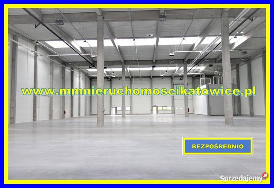 Lokal 700m2 Siemianowice Śląskie Nieruchomości sprzedam