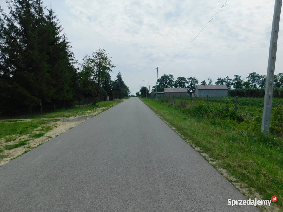 Syndyk sprzeda Rykały