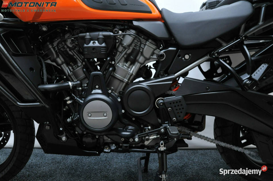 HarleyDavidson Nightster HarleyDavidson Pan Podkowa Leśna