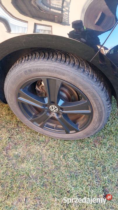 Volkswagen Golf VII 2016r Blue Motion Rok produkcji 2016