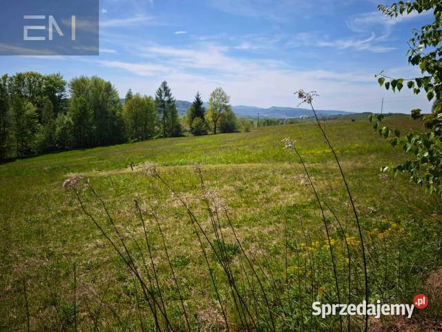 sprzedaży gruntu Lutcza 7000m2