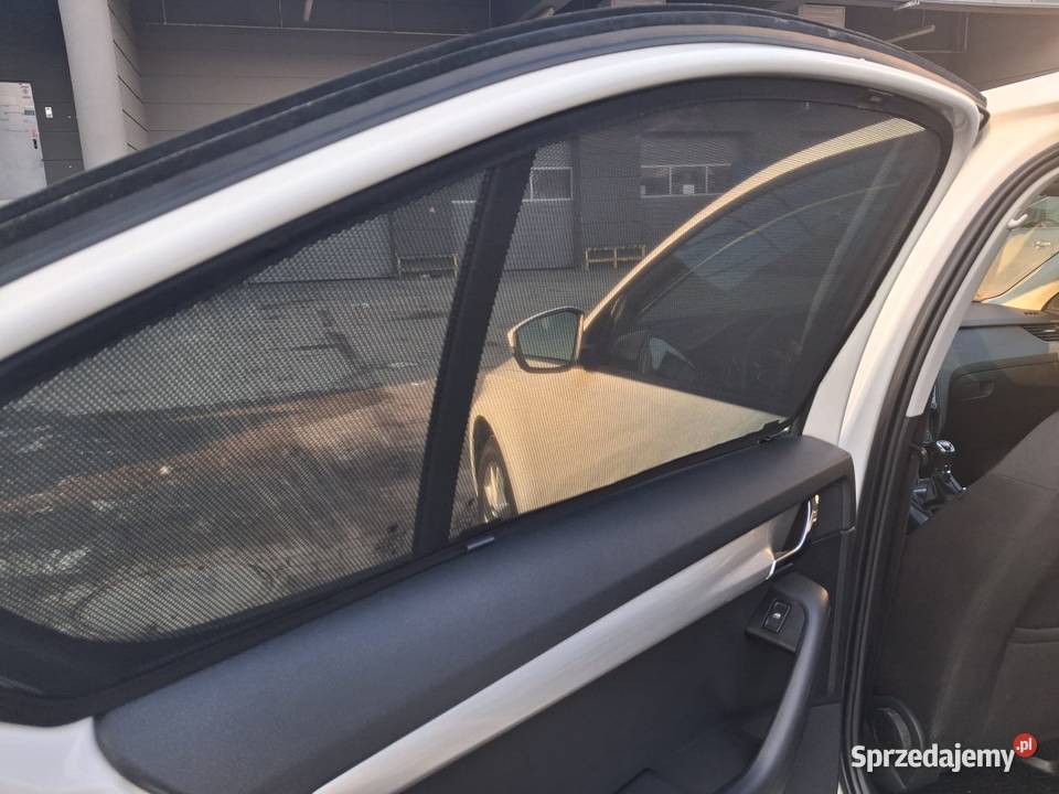 Polski Salon Bezwypadkowy Rok produkcji 2019 Octavia Reda