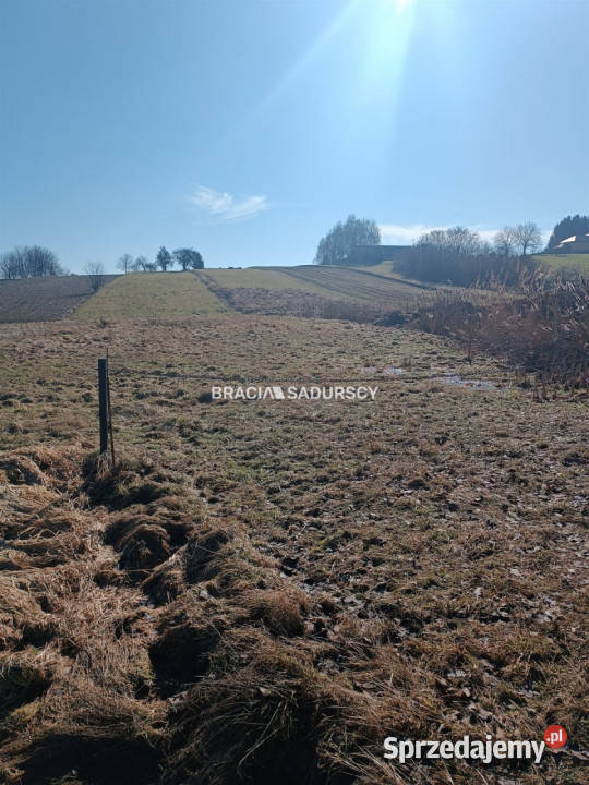Sprzedaż gruntu Bodzanów 6650 metrów