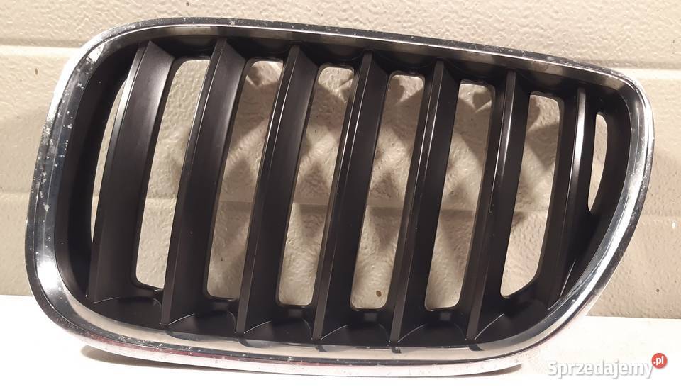 GRILL NERKA LEWA BMW X5 E53 7124815 Mielęcin
