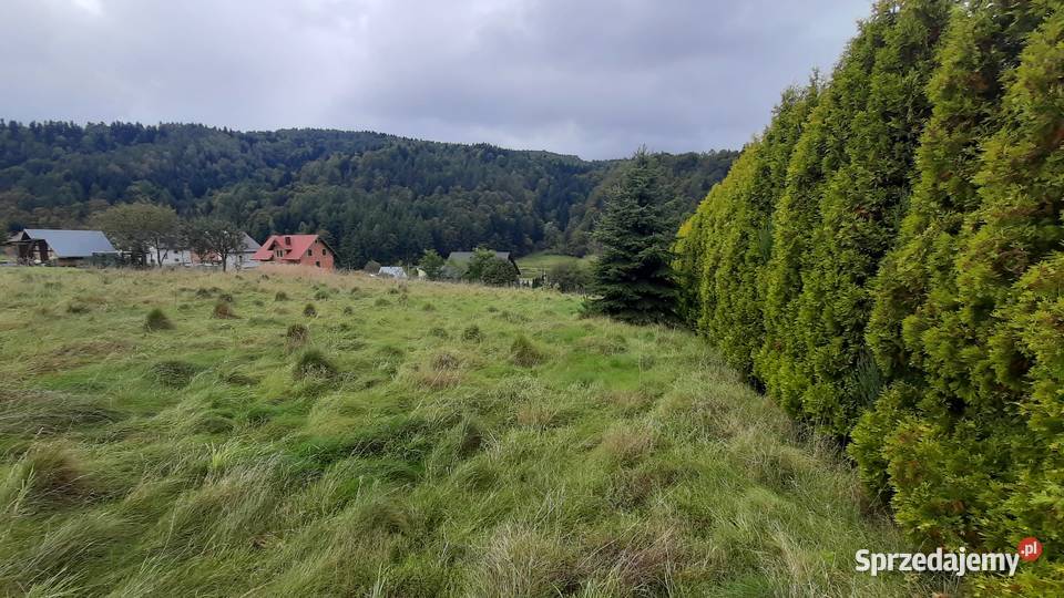 Działka pod zabudowę Muszyna