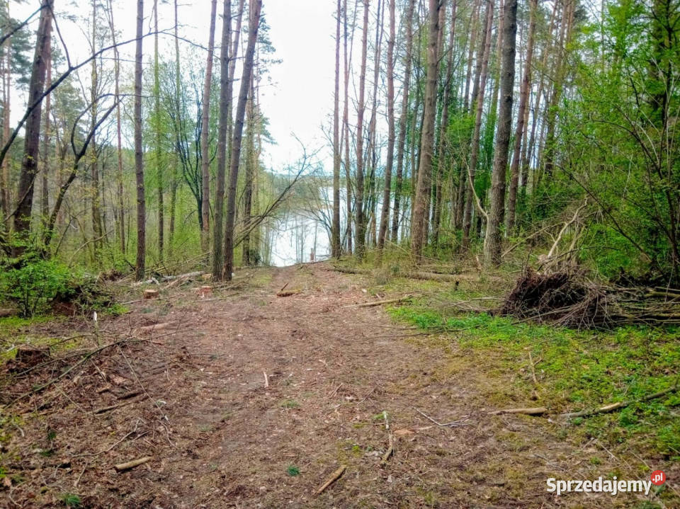 Mazury Działki 3000m w okolicach jeziora Garbas 60zł/m2 Stare Juchy