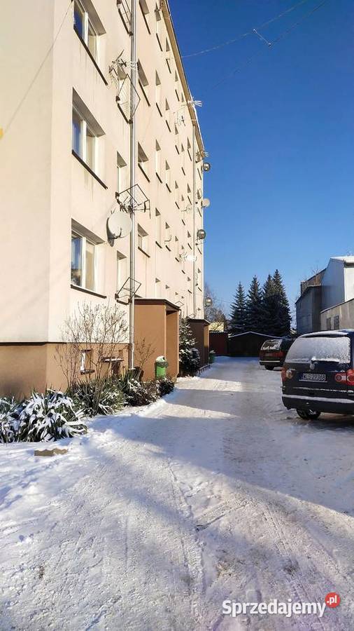 Sprzedam mieszkanie piwnica Sprzedaż sprzedam