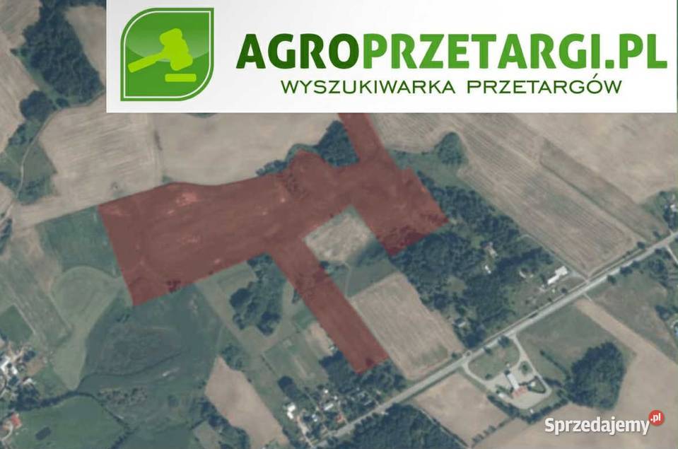 Dzierżawa 5583 ha gruntu rolnego Iława sprzedam
