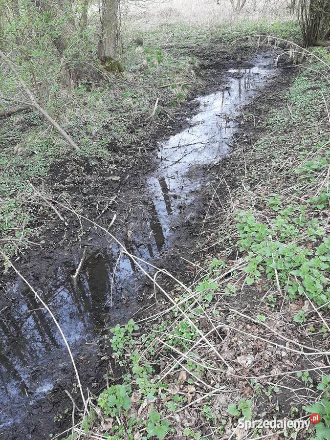Działkaa Pozostałe lubuskie sprzedam