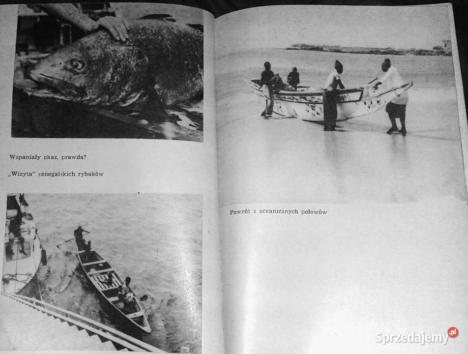 Moje oceany Opowieści Morskie Bogdan miękka Chełm