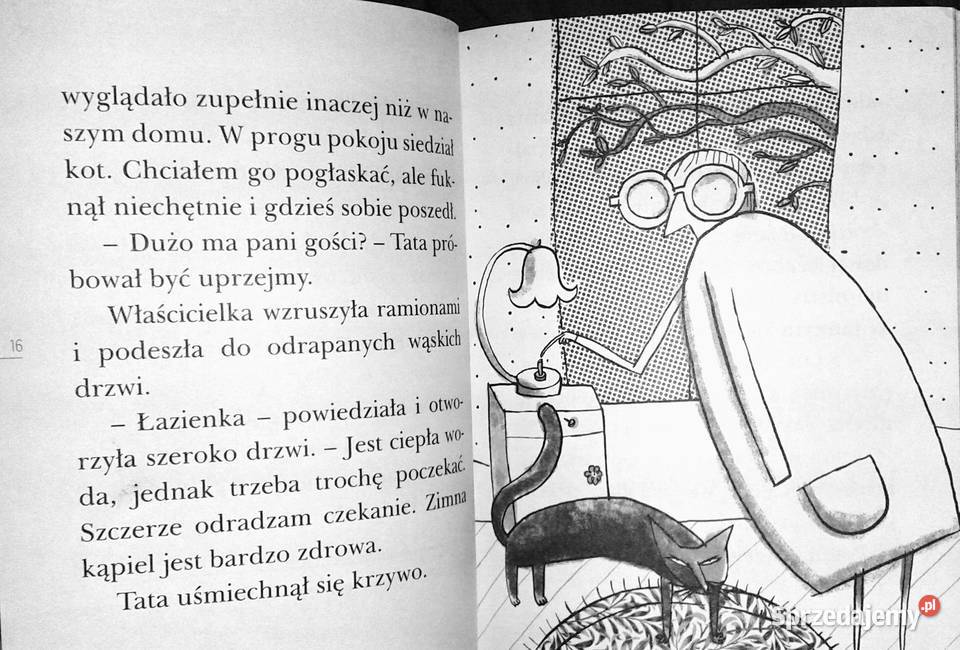 Pokój NIEgościnny Grzegorz Kasdepke Daniel de Książki i Podręczniki Chełm
