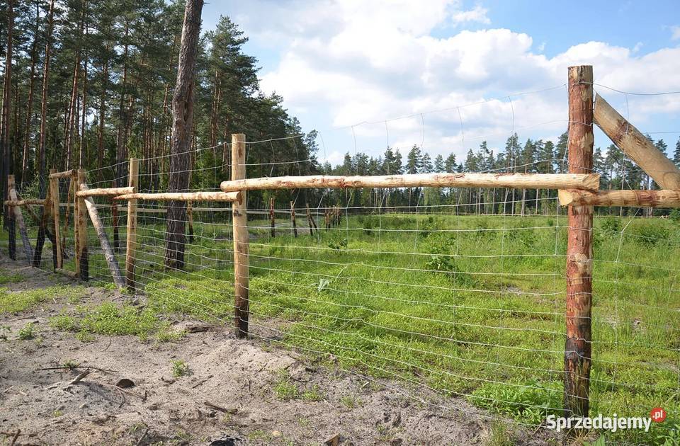 Siatka leśna ocynkowana L 1501030 50mb różne Pozostałe Cieśle