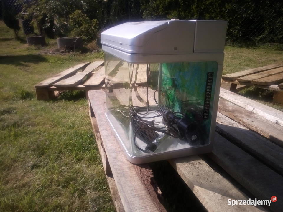 Akwarium 10l Myślenice