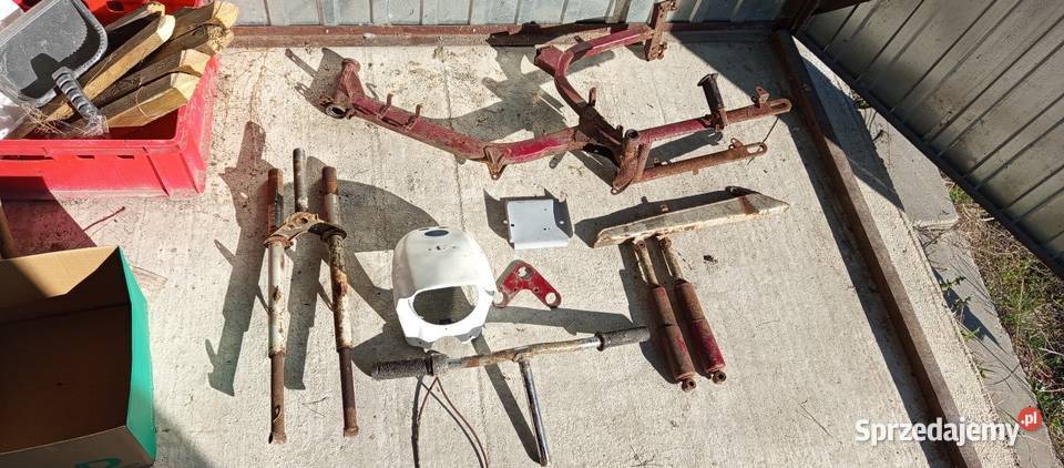 Rama jawa kaczka Olszewnica Stara