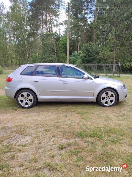 Audi A3 8P Sportack 19 tdi 4/5 kujawsko-pomorskie Wielki Wełcz