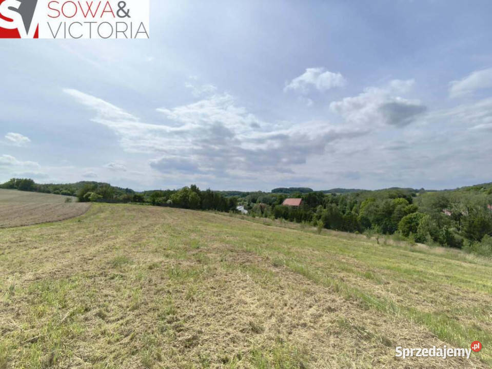 Skrajna działka pod lasem budowlana Sprzedaż Wałbrzych sprzedam