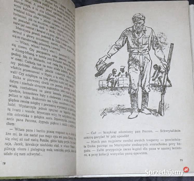 W puszczach i sawannach Kamerunu Kamil Giżycki Chełm sprzedam