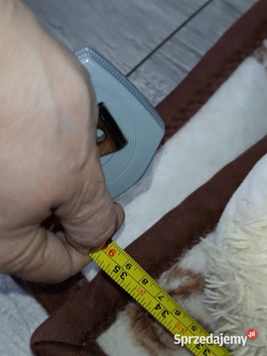 miś pluszak w odcieniach żółtego 90 Maskotki