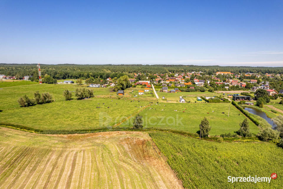 Sprzedaż gruntu 23900m Stegna asfalt Sprzedaż