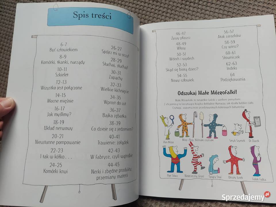 National Geographic Małe Mózgofalki poznają Kraków