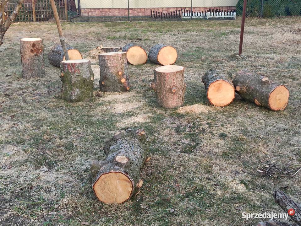 Drewno na opał Opał Bratkowice