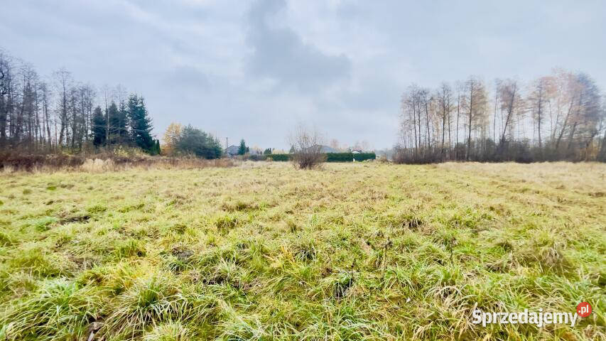 sprzedaży działki 3000m2 Radonie sprzedam