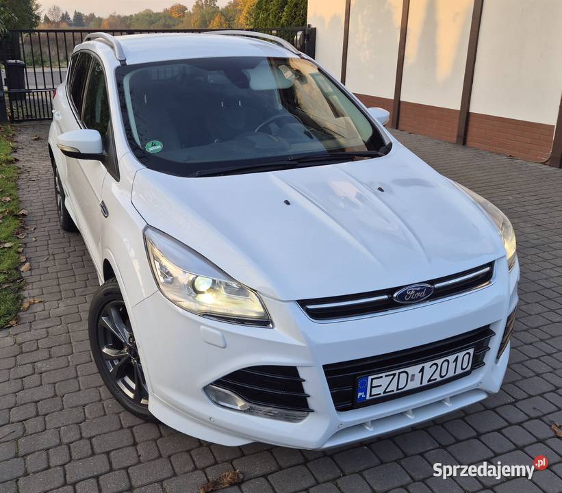 Super Stan Stline Kuga