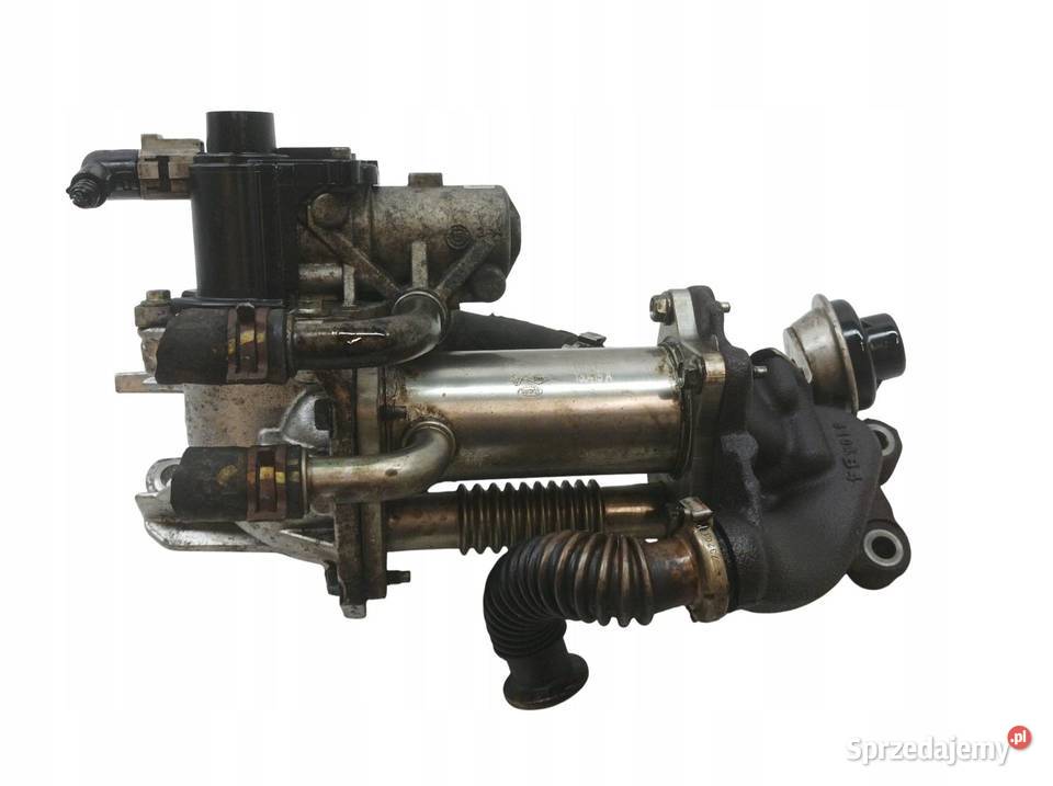 ZAWÓR EGR 147356133R 15 D DCI Dacia Dokker I świętokrzyskie