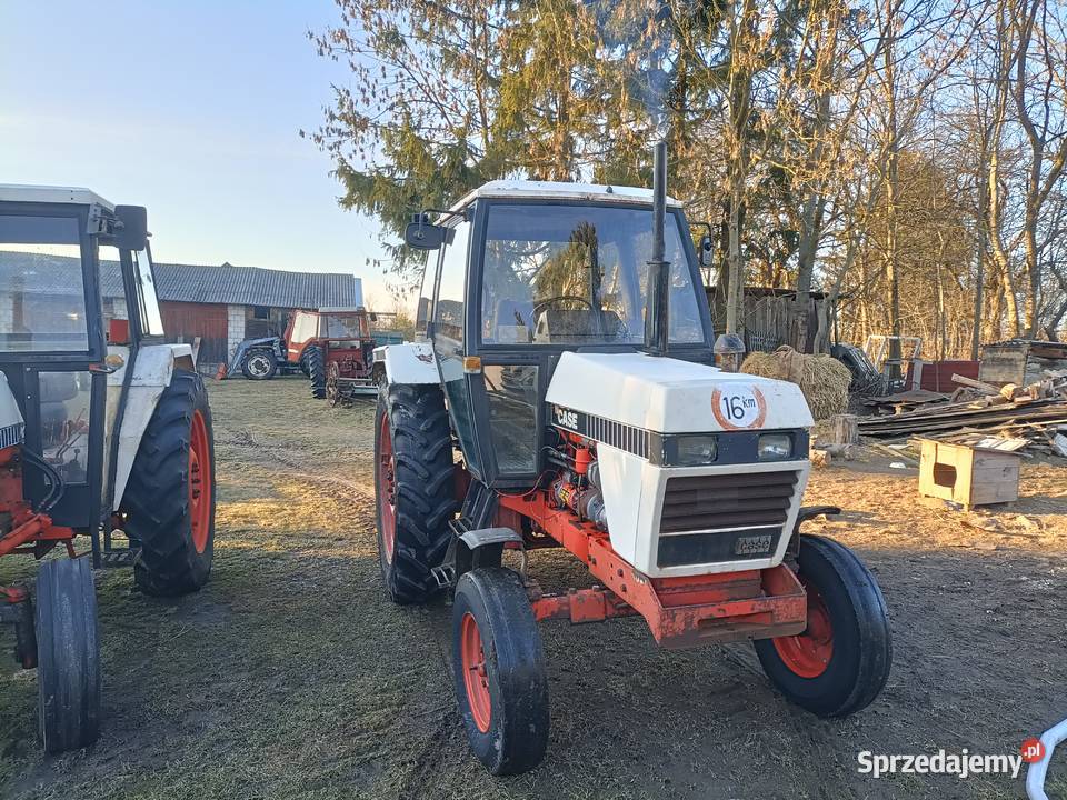 David brawn 1290 case lubelskie Krzczonów Trzeci sprzedam