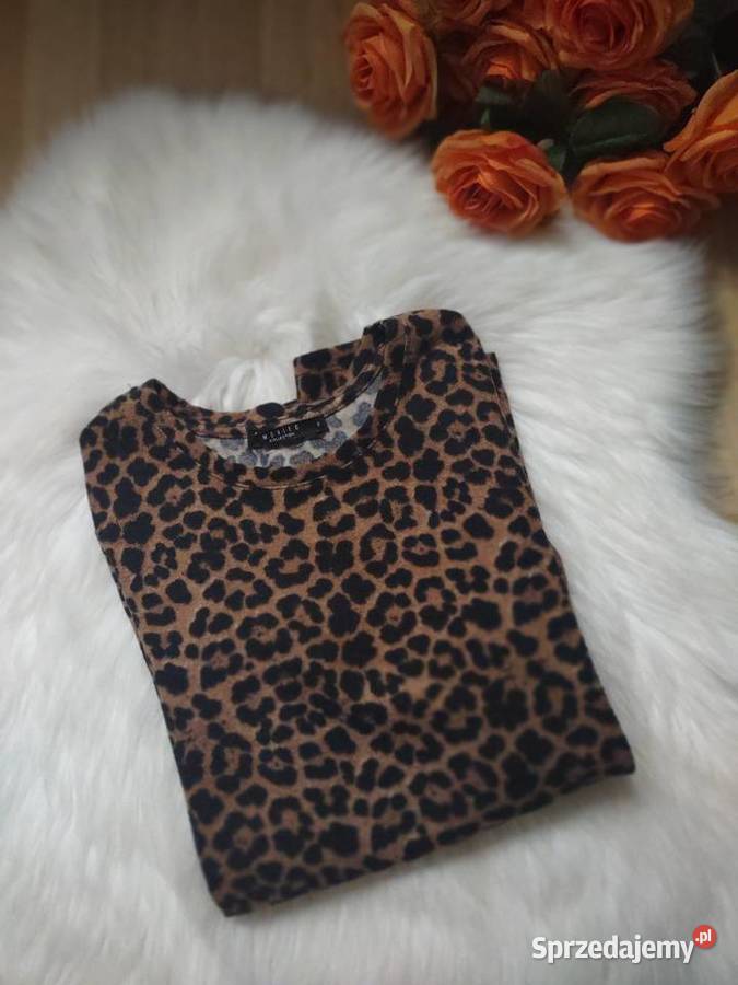 Dzianinowa bluzka w panterkę Mohito S Olkusz