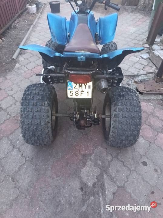 Quad 250 250cm3 Motoryzacja Dębno