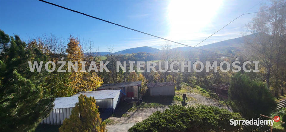 Sprzedaż mieszkania 5955m2 Głuszyca 3442zł/m2 dolnośląskie sprzedam