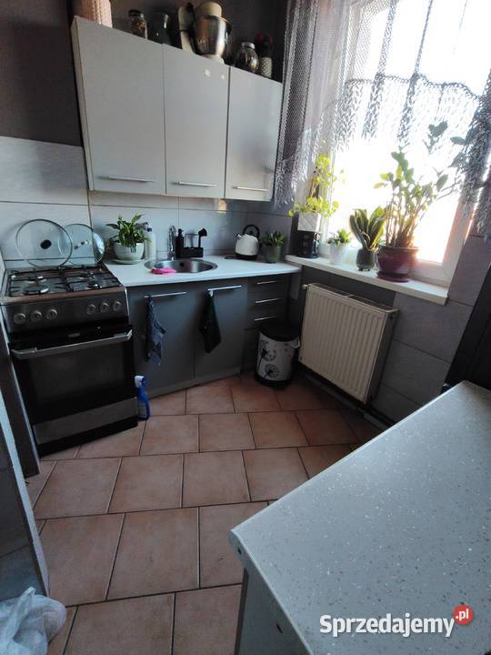 Mieszkanie piwnica Malczyce sprzedam