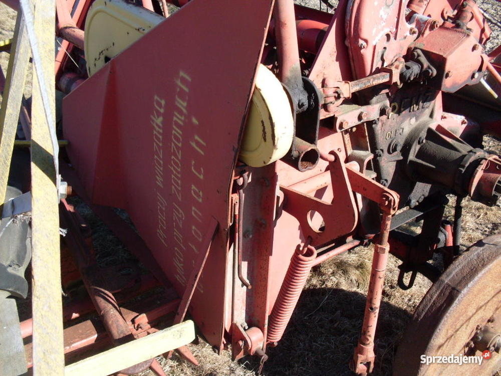 SNOPOWIĄZAŁKA WARTA świętokrzyskie Sędziszów