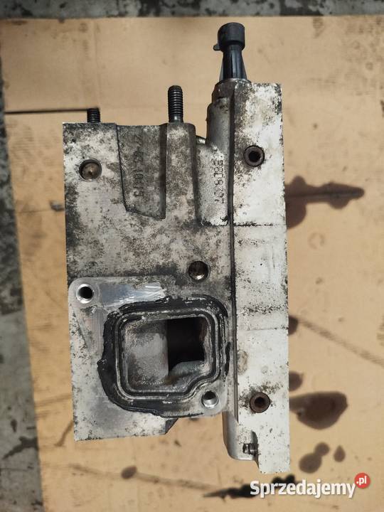 Głowica FIATOPEL 13 MULTIJET osobowe Szczecin