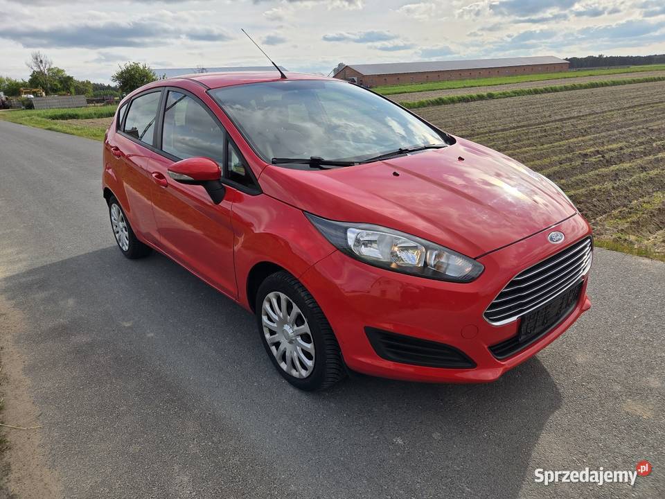 Ford Fiesta Turek
