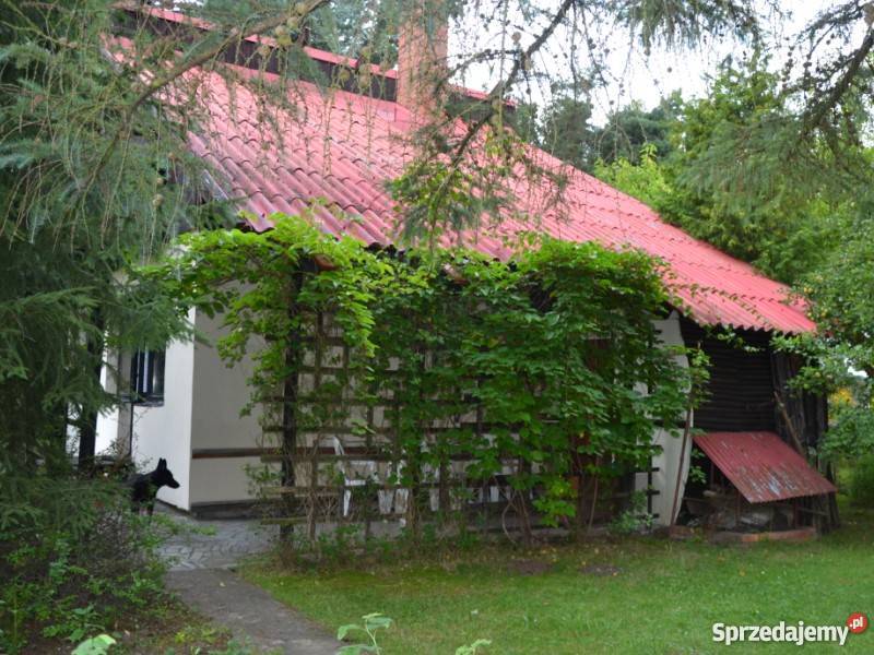 Działka rekreacyjna Bożenkowo gmOsielsko