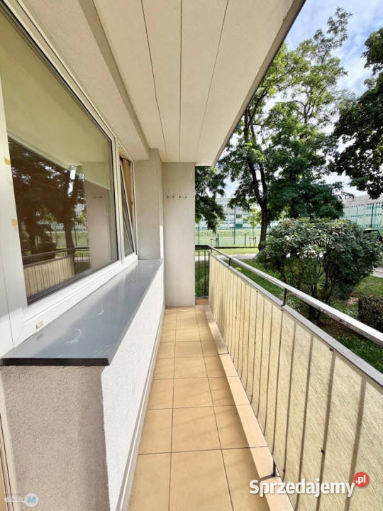 sprzedaży mieszkania Kielce 336m2 1 pokój Sprzedaż