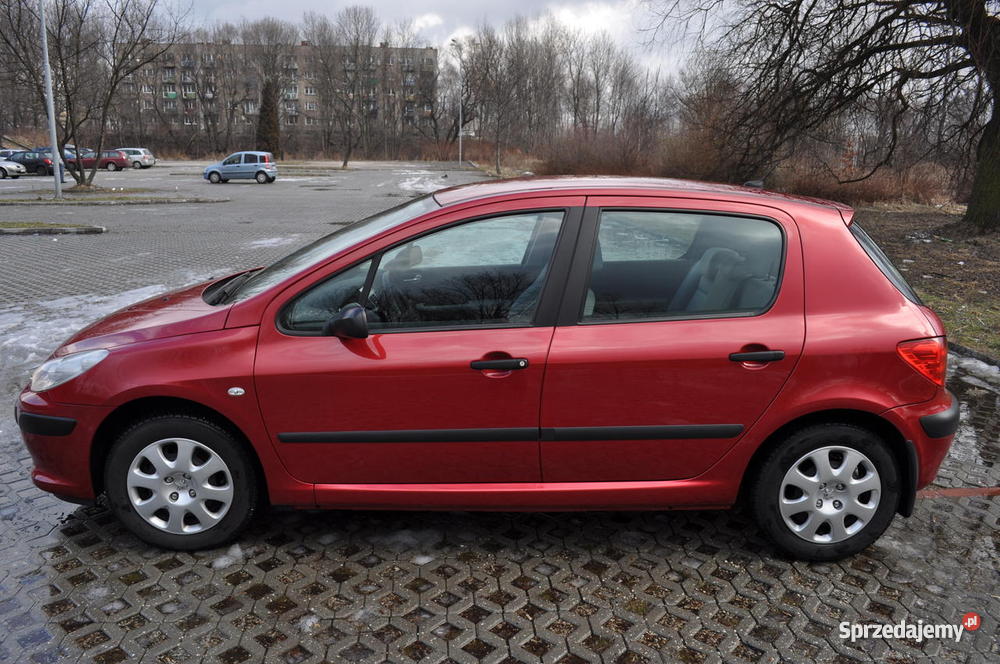 Peugeot 307 1400cm3 Bytom sprzedam