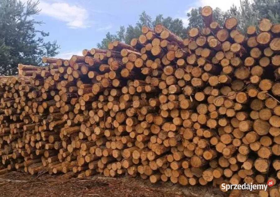 Stemple Paliki Słupki Okrąglaki KULOKI NOWE 26m Drewno konstrukcyjne sprzedam