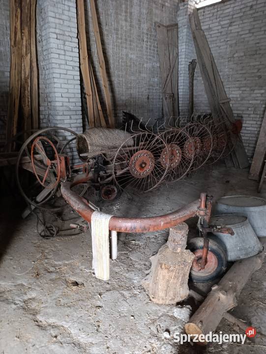 Zgrabiarka słoneczko 5 Kasiłan