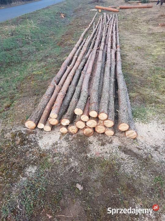 Stemble drewniane mocne proste wielkopolskie Lisków